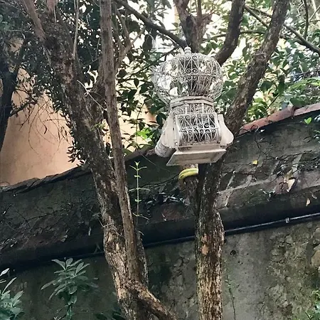 Aldrovandi *
